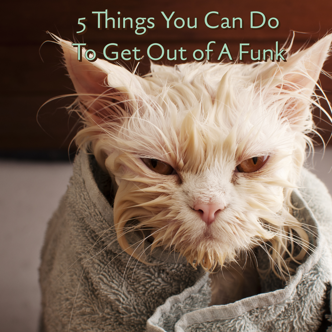 5 Things You Can Do To Get Out of A Funk